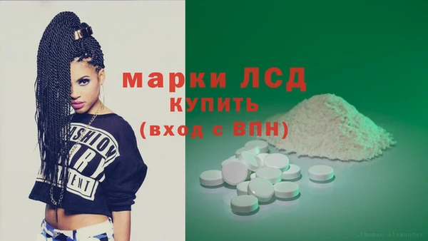 прущие крисы Тайга