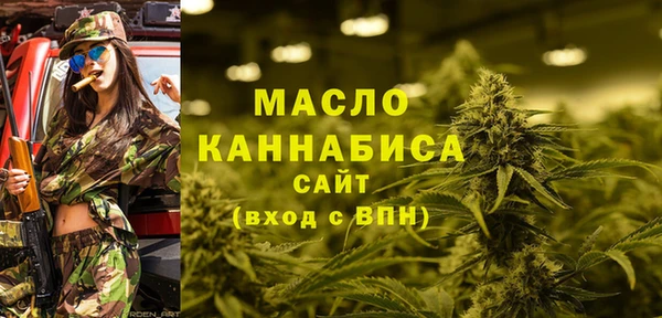 дживик Вязьма