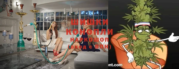 дживик Вязьма