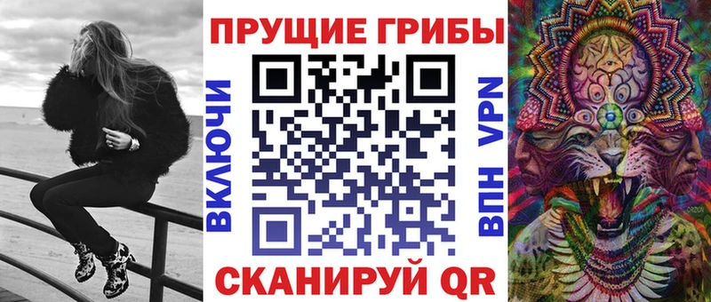 МЕГА tor  Вышний Волочёк  Псилоцибиновые грибы Psilocybine cubensis 
